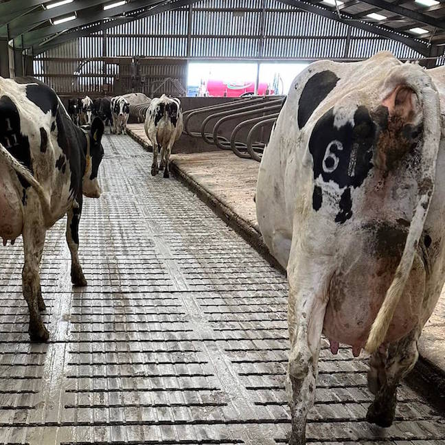 Curing Parlor Blindness